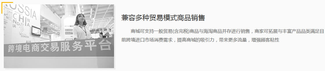 兼容多种贸易模式商品销售